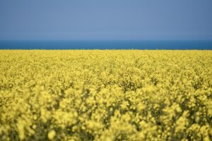 農業における地産地消を促進するクラウドファンディングの方法は？