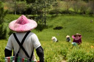 農家のクラウドファンディング支援にはどんなメリットがあるの？