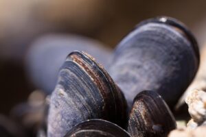 地域活性化に役立つクラウドファンディングのまとめは？