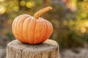 オーガニック野菜を使ったクラファンで農家支援はどうすればいい？