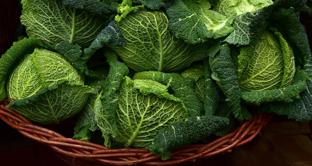野菜を活用したクラファンの成功プロジェクト事例は？