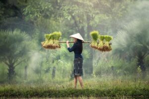 農家がクラウドファンディングを始めたい時に知っておくべきポイントは？