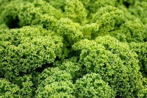 農業後継者がクラファンを活用するための効果的な方法は？